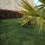 Kotinos شقة